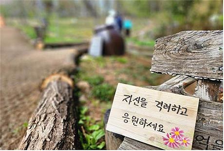 고립은둔 청년 프로그램