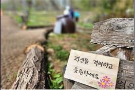 우울할 땐 정원으로 오세요, 서울형 정원처방 만족도 96.9% 기사 이미지