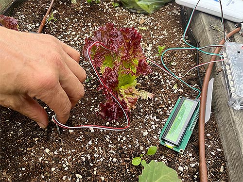 스마트 치유농업 프로그램