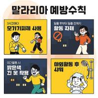 말라리아 양성 모기 확인, 전국 경보 발령 기사 이미지