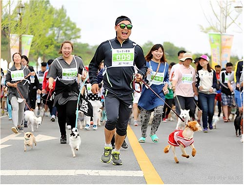참고 사진