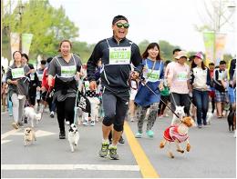 서울시 최초 멍멍이 올림픽! 도그스포츠 대회에 참여해보세요 기사 이미지