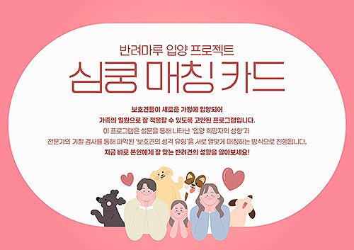 심쿵 매칭 카드