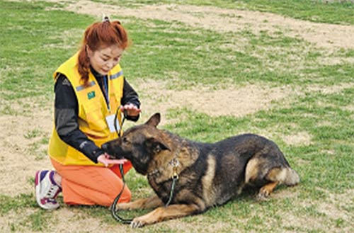 스트레스 고위험군 대상 교감치유 프로그램