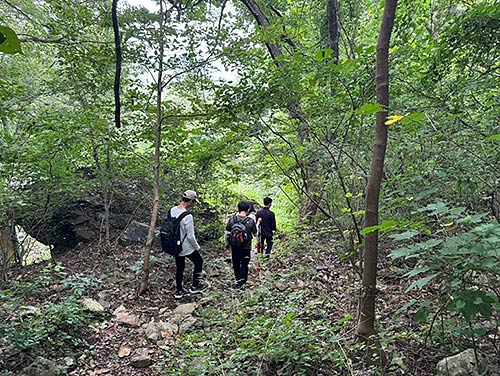 산림건강과정
