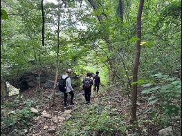숲에서 찾는 건강한 일상, '산림건강과정' 수강생 모집 기사 이미지