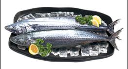 11월의 수산물, 어촌여행지, 해양생물, 등대, 무인도서 선정 기사 이미지