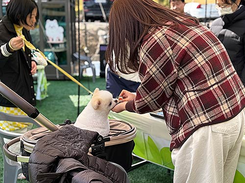 사진4김천숲속야영장휴레스토랑25111