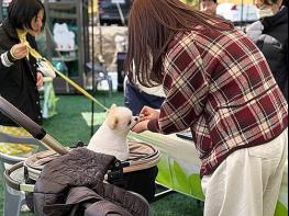 댕댕이와 나를 위한 숲속 만찬 즐기기 기사 이미지