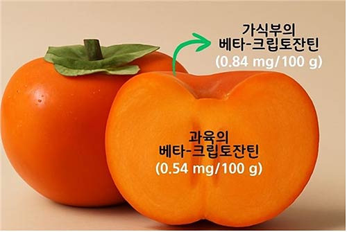 단감의 베타크립토잔틴 함량