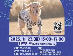 부산시, 반려동물과 함께하는 늦가을 소풍… 「댕댕 선데이」 개최 기사 이미지