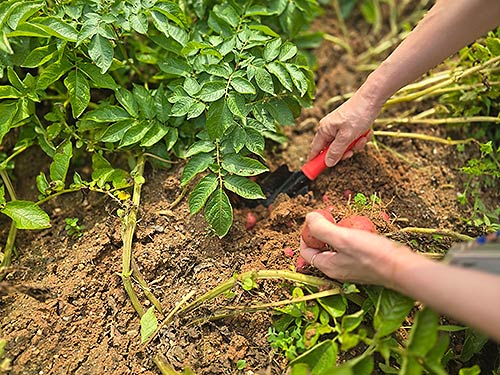 전문프로그램 사진