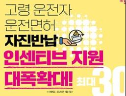 부산시, 고령자와 사업용차량 교통안전 강화한다! "맞춤형 안전대책" 추진 기사 이미지