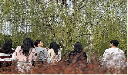 농장 산책심신안정