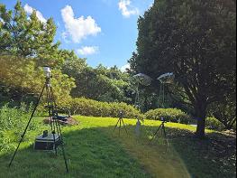 전남 난대숲, 겨울에도 피톤치드 다량으로 뿜어낸다 기사 이미지