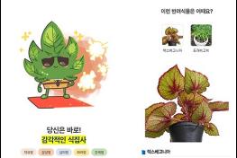 "어떤 식물이 나와 맞을까? 반려식물 추천 서비스로 확인하세요" 기사 이미지