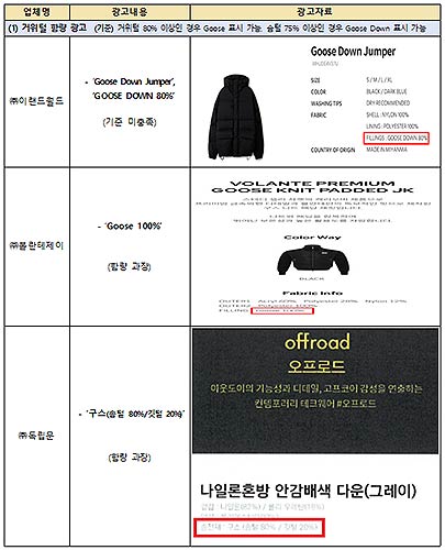 부당광고 세부 유형