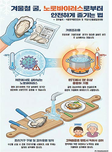 겨울철 굴 노로바이러스 주의하세요 전북자치도 유통 굴 노로바이러스 검사 강화