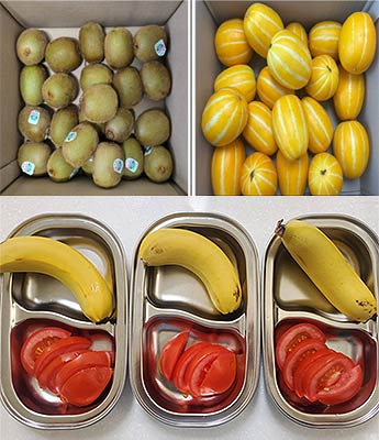 얘들아 과일먹자 사업 관련 사진