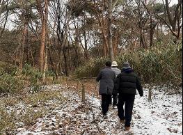 건보공단 3.2만명 4년 추적 결과..."꾸준한 등산·숲길걷기, 정신질환 위험 10% 낮춘다" 기사 이미지