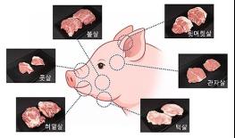 돼지 한 마리에서 단 1kg, '머릿고기'의 숨은 매력 기사 이미지
