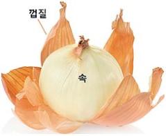 국내 양파, 혈관 건강·당뇨 예방 돕는 플라보노이드 성분 풍부 기사 이미지