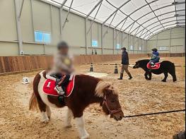 경기도, 미취학 어린이 ‘무료 말 체험’ 3천 명으로 확대. 31일부터 선착순 모집 기사 이미지