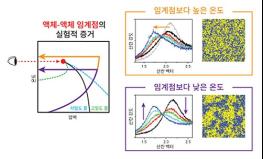 '물이 특별한 이유, 수수께끼(미스터리) 드디어 풀렸다' 10년간 뚝심 있는 연구로 교과서 바꿀 발견 기사 이미지