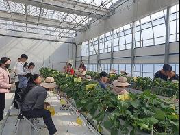 광주시 ″지친 일상, 농업으로 치유하세요″ 기사 이미지