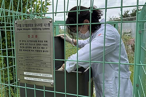 광주 도심 모기 급증작년보다 18배 늘어