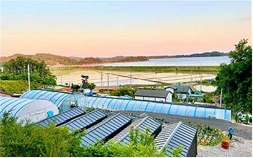  지역  충남 서천  사업아이템  체험 기념품