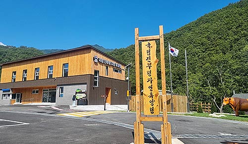 진부령자연휴양림 전경