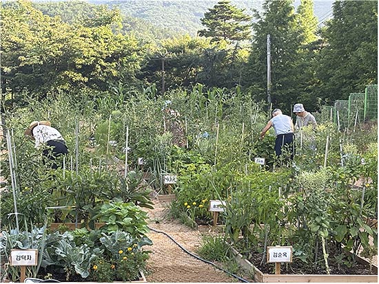고령자 대상 텃밭활동