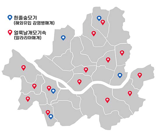 서울시 매개 모기 채집 현황