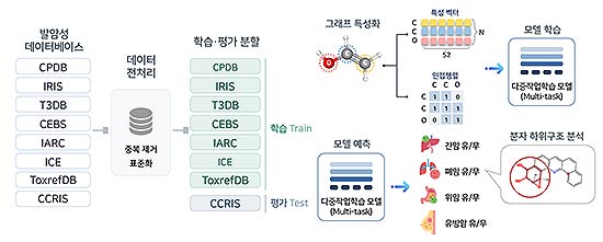 다중작업학습Multitask learning 기반 장기별 발암성 예측 파이프라인