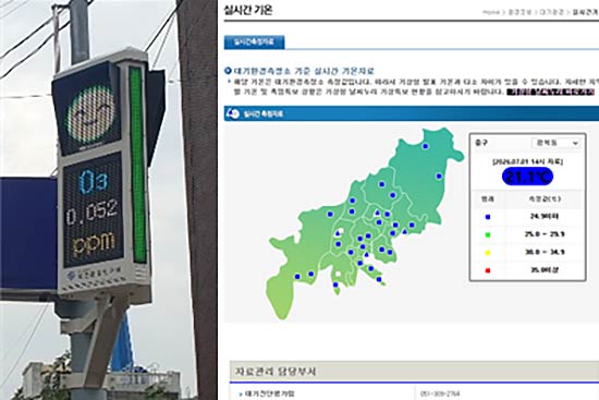 참고사진