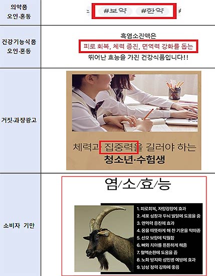  온라인 부당광고 주요 적발 사례
