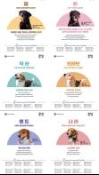 '견생 2막, 동행' 검역탐지견 입양 신청, 이제 큐알(QR) 코드로 간편하게! 기사 이미지