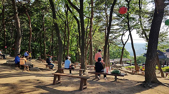 도시숲의 해택을 즐기는 시민들