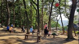 나무 많을수록 여름철 도시 더 시원하다...도시숲의 열섬 완화 효과 입증 - 국립산림과학원, 서울 25개 자치구 대상 도시숲과 지표면 온도 상관관계 발표 기사 이미지
