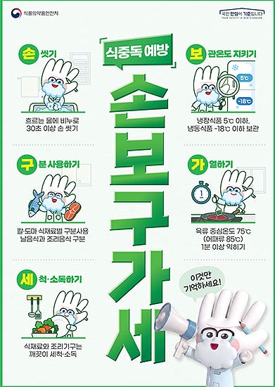 식중독 예방수칙 손보구가세