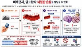 당뇨 환자, 초미세먼지 노출 시 뇌혈관 손상 더 뚜렷 기사 이미지