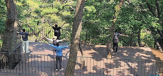 경기양평용문산치유의숲숲안아주기