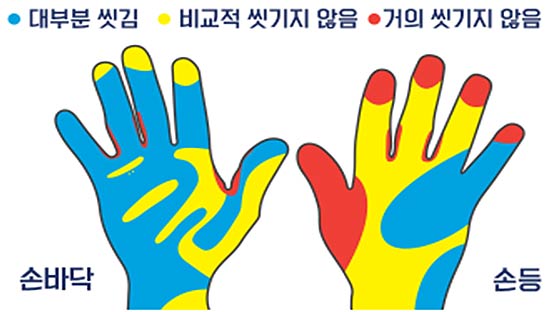 잘 씻기지 않는 손 부위