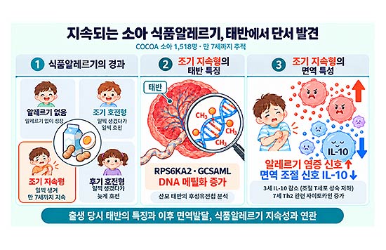 주요 연구 내용 요약