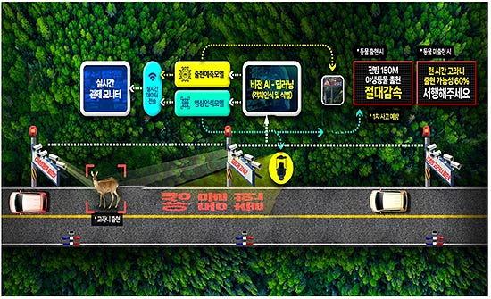 인공지능AI 기반 야생동물 감지식별알림 체계